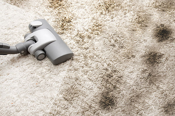 ​3 خطر عمده فرش کثیف برای سلامتی انسان